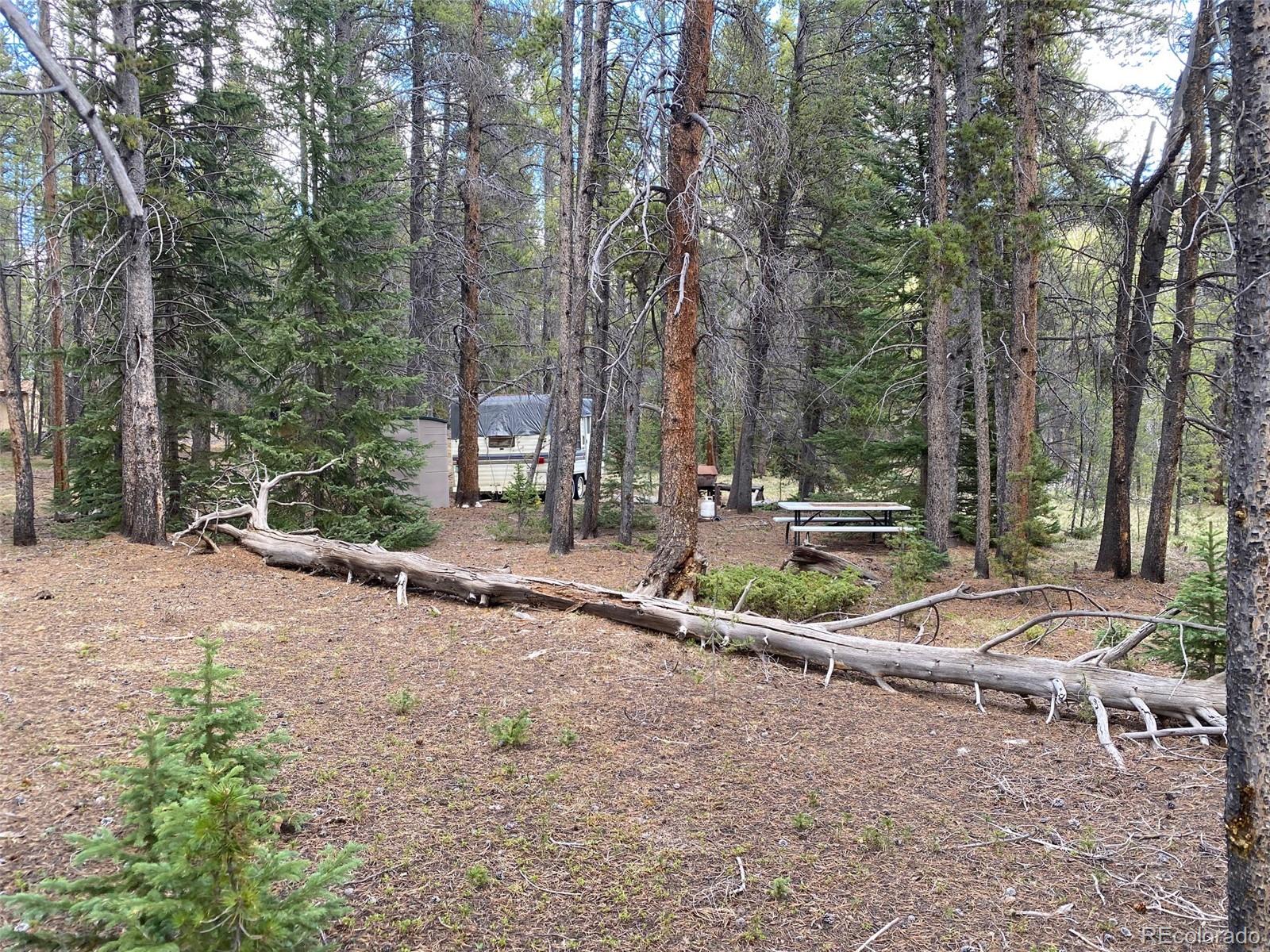 50 County Road Como, CO 80432 - Photo 2 of 25 a view of a park with large trees
