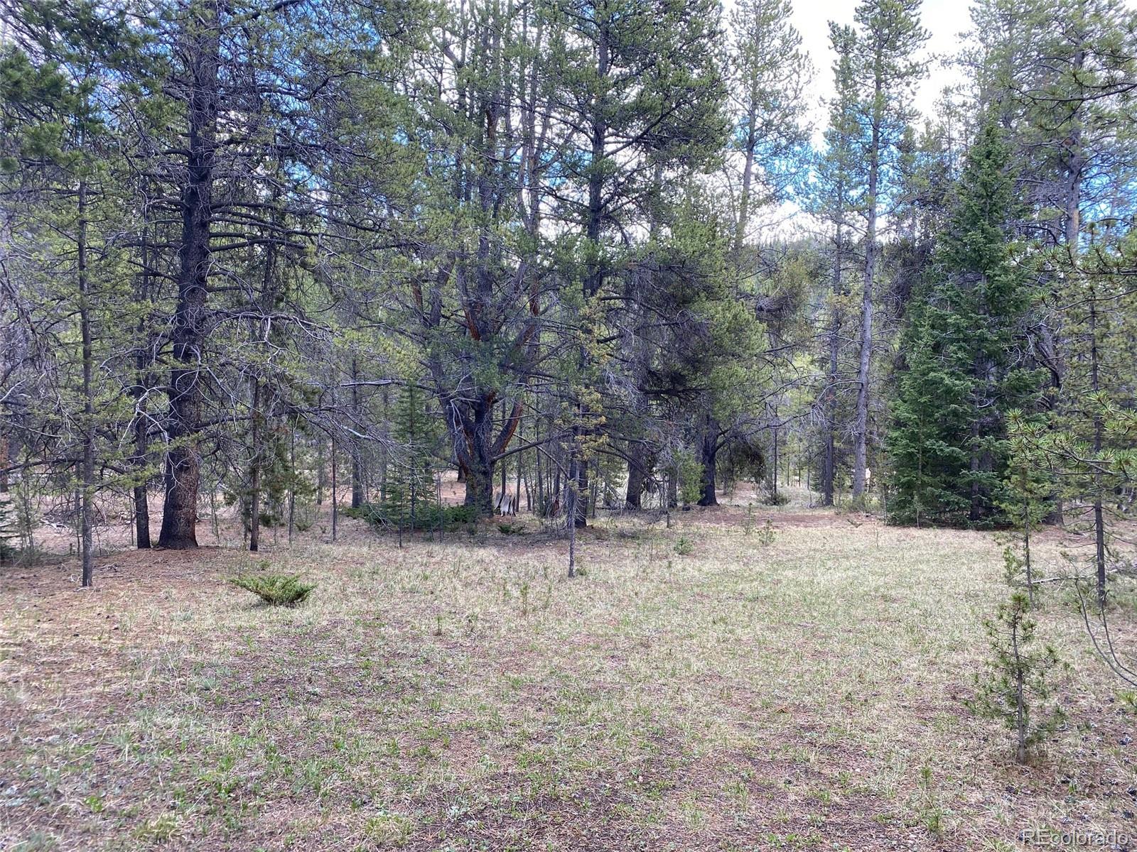 50 County Road Como, CO 80432 - Photo 21 of 25 a fire hydrant in the middle of a field