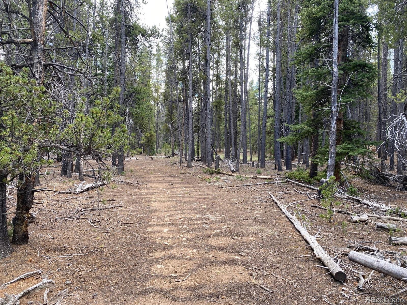 50 County Road Como, CO 80432 - Photo 3 of 25 a view of outdoor space with trees