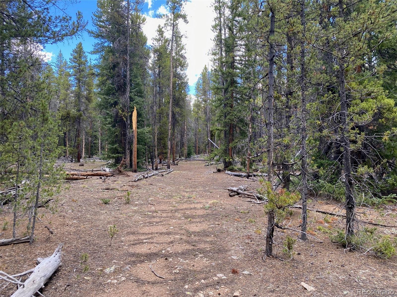 50 County Road Como, CO 80432 - Photo 4 of 25 a view of outdoor space with trees