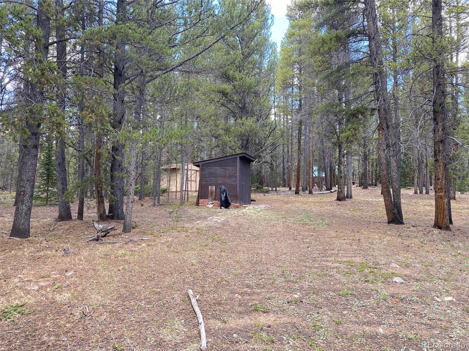 50 County Road Como, CO 80432 - Photo 5 of 25 a street view covered with tall trees