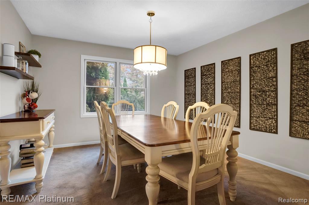 8039 Boulder Ridge Court Brighton, MI 48116 - Photo 25 of 45
