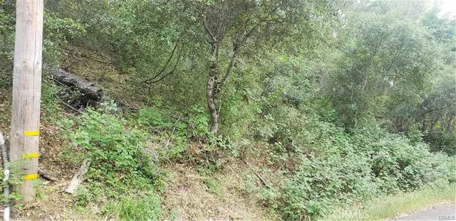 $9,477 | 7248 High Street, Nice, CA 95464