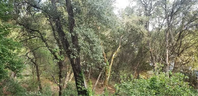 a view of a yard with a tree