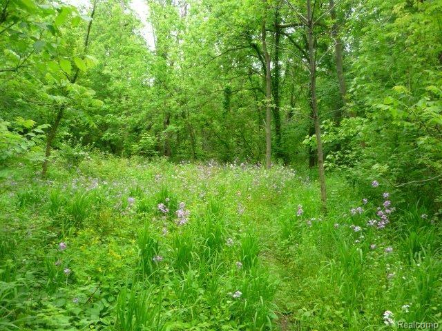 5670 North Beck Road Canton, MI 48187 - Photo 11 of 13 Backyard