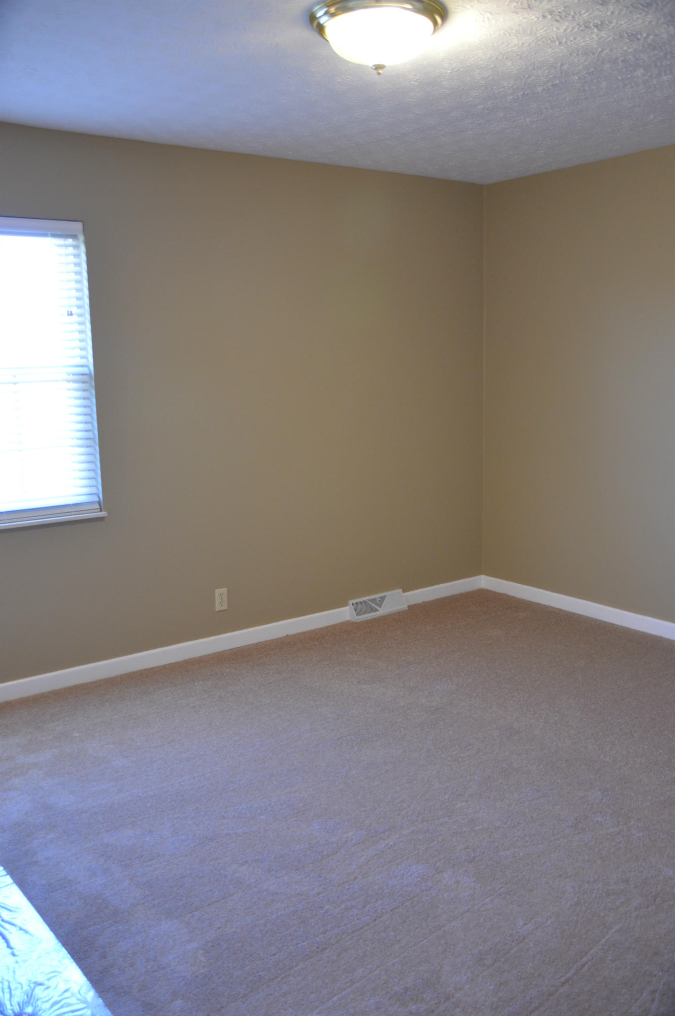 1120 Johnson Road Seymour, TN 37865 - Photo 11 of 18 DSC_0016