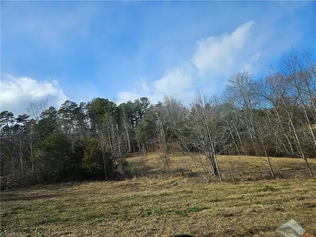 $90,000 | 0 Whitaker Chapel Road, Unit 2, Pilot Mountain, NC 27041