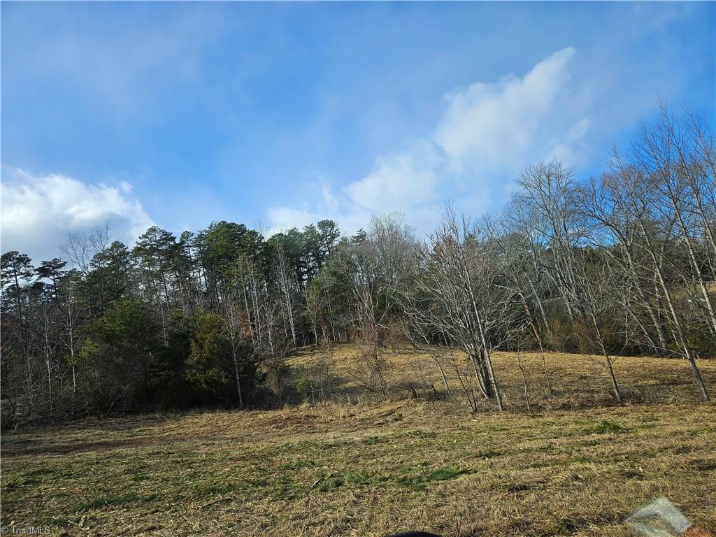 0 Whitaker Chapel Road, Unit 2 Pilot Mountain, NC 27041 - Photo 2 of 10