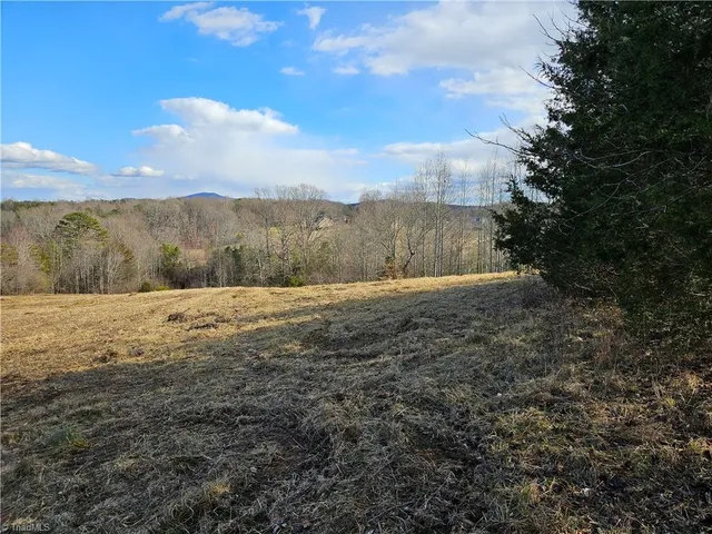 $90,000 | 0 Whitaker Chapel Road, Unit 2, Pilot Mountain, NC 27041