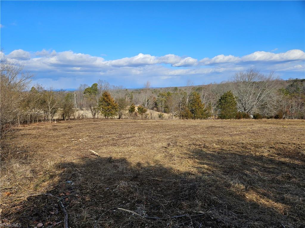 0 Whitaker Chapel Road, Unit 2 Pilot Mountain, NC 27041 - Photo 4 of 10