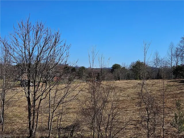 $90,000 | 0 Whitaker Chapel Road, Unit 2, Pilot Mountain, NC 27041