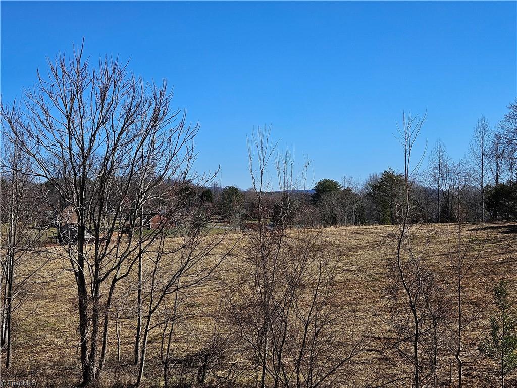 0 Whitaker Chapel Road, Unit 2 Pilot Mountain, NC 27041 - Photo 7 of 10