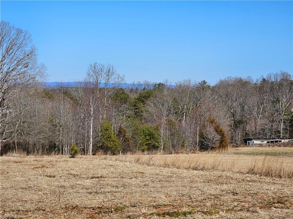 0 Whitaker Chapel Road, Unit 2 Pilot Mountain, NC 27041 - Photo 10 of 10