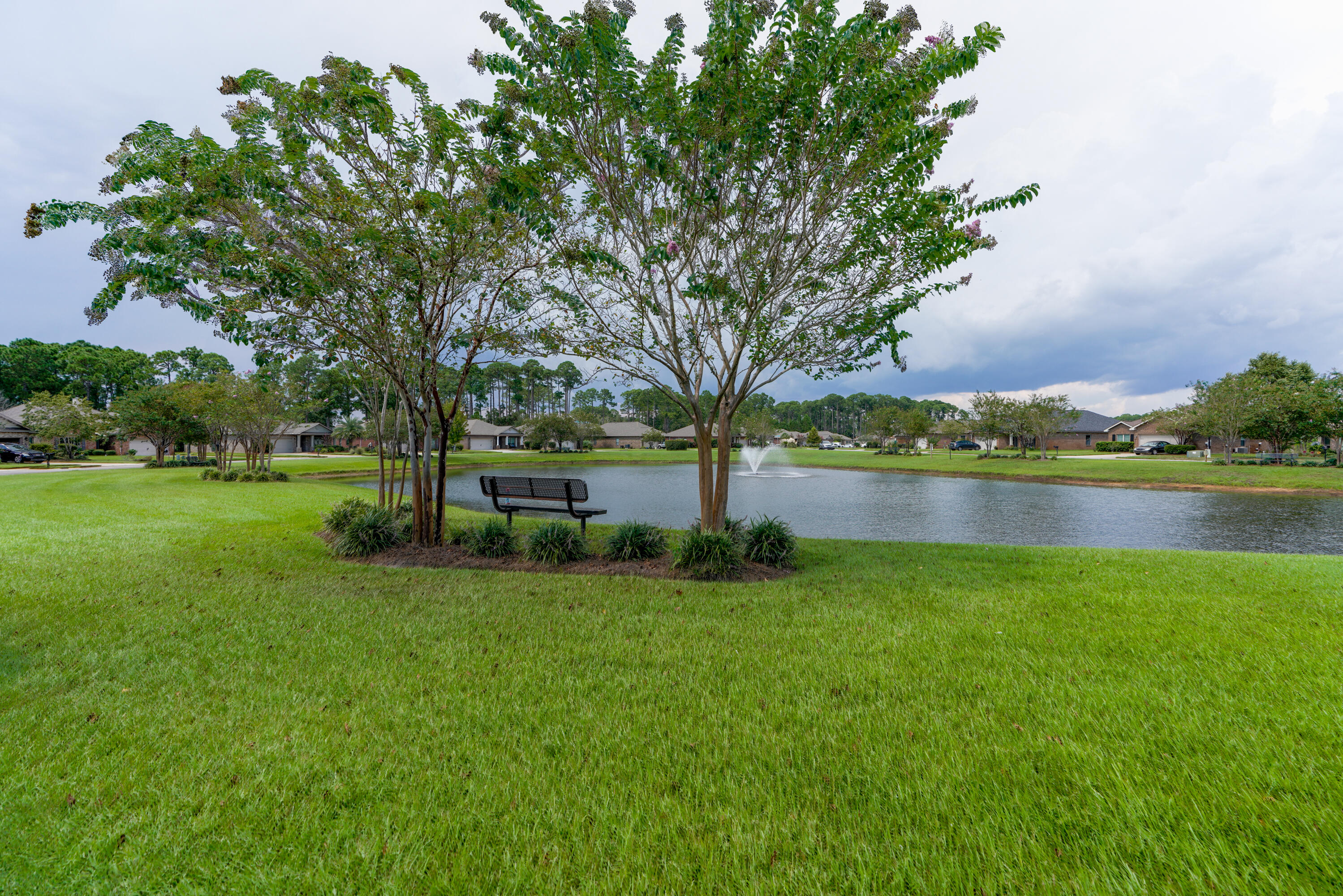 122 Riverbirch Loop Santa Rosa Beach, FL 32459 - Photo 34 of 41 a view of a yard with a tree