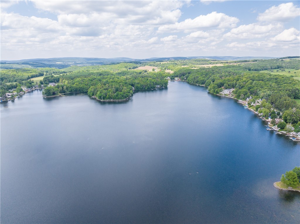 10282 County Route Wayland, NY 14572 - Photo 11 of 29 SPECTACULAR LOON LAKE!