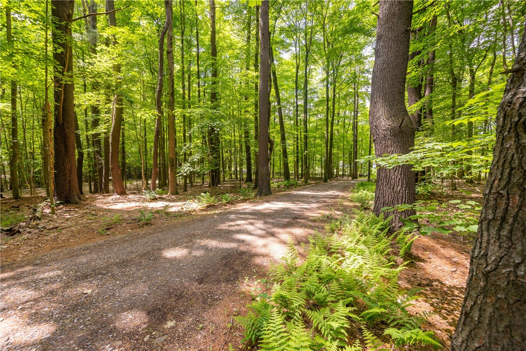 10282 County Route Wayland, NY 14572 - Photo 14 of 29 DRIVEWAY TO NATURE'S PARADISE!