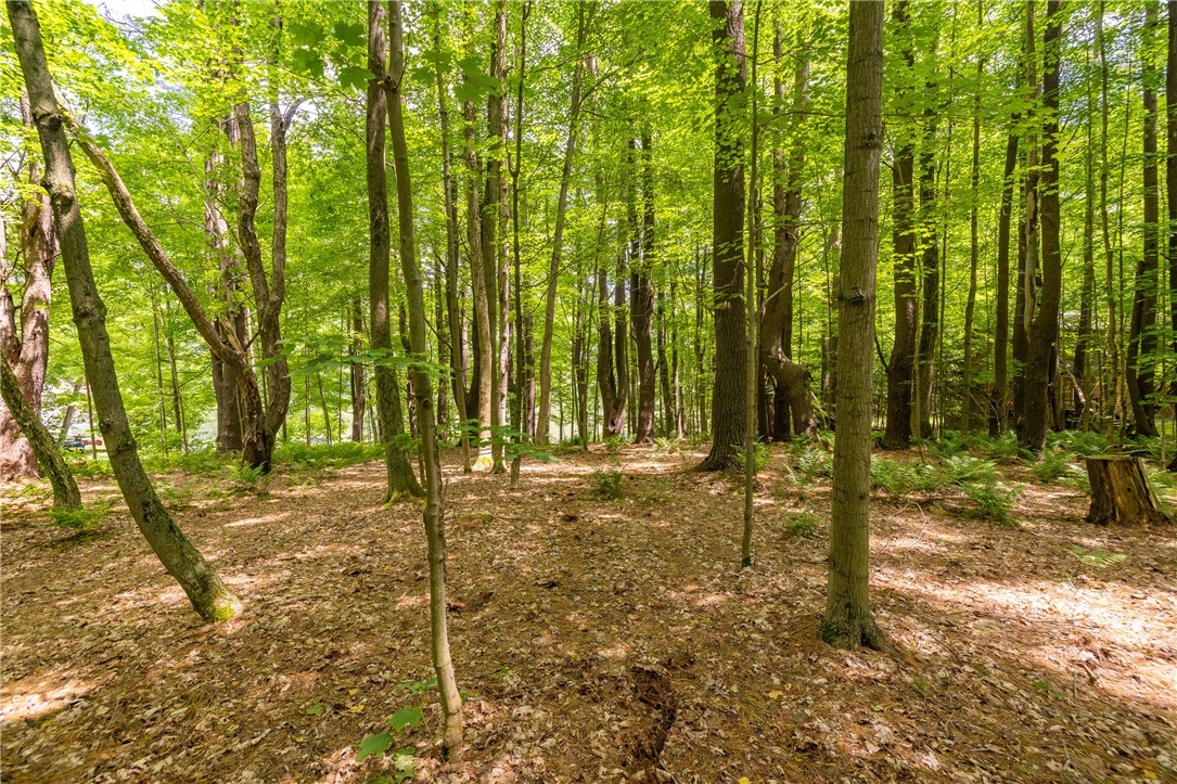 10282 County Route Wayland, NY 14572 - Photo 16 of 29 NATURE'S PARADISE LEADING TO WATERFRONT!