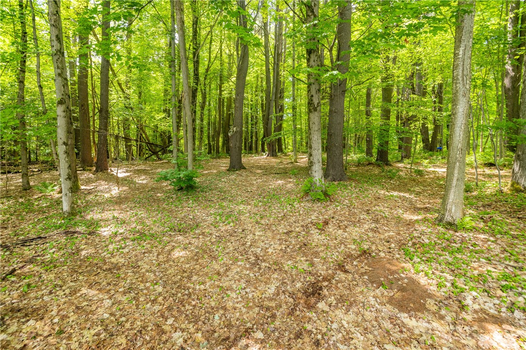 10282 County Route Wayland, NY 14572 - Photo 18 of 29 NATURE'S PARADISE LEADING TO WATERFRONT!