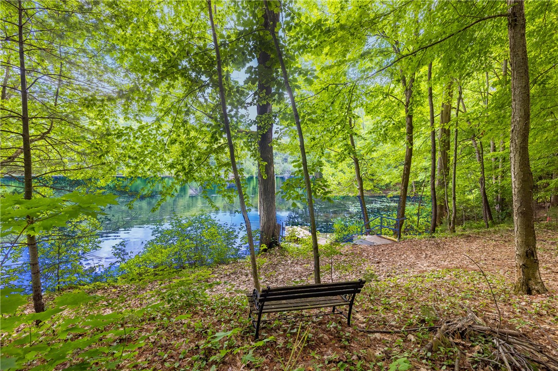 10282 County Route Wayland, NY 14572 - Photo 19 of 29 NATURE'S PARADISE LEADING TO WATERFRONT!