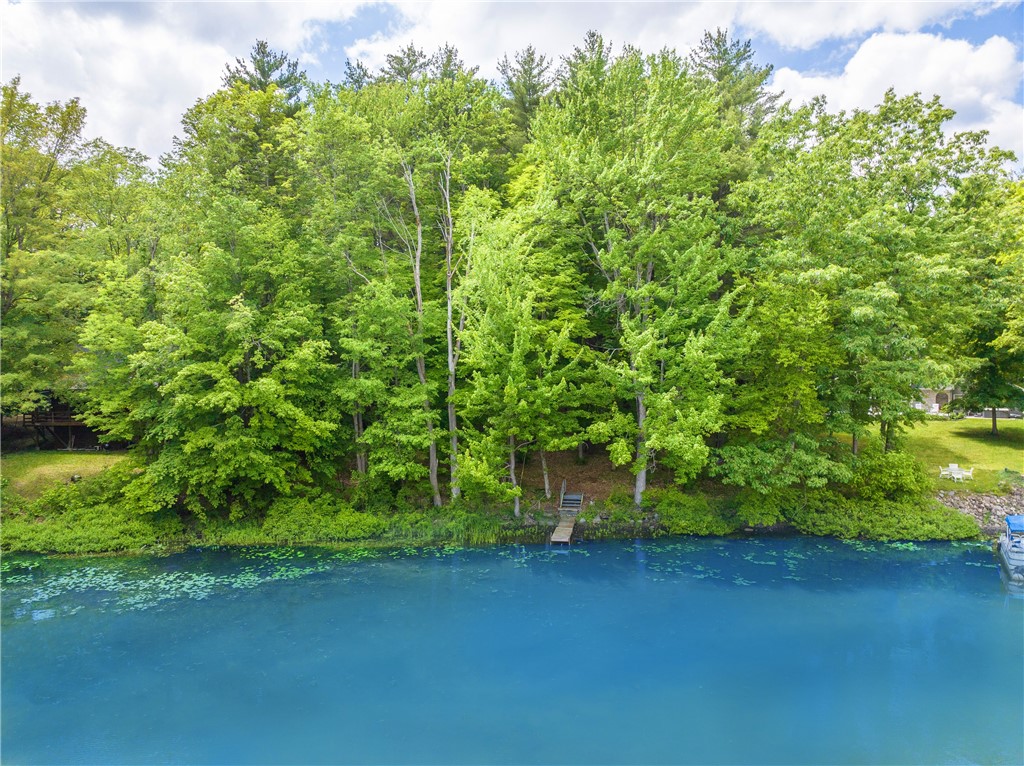 10282 County Route Wayland, NY 14572 - Photo 20 of 29 100' LEVEL WATERFRONT WITH DOCK!