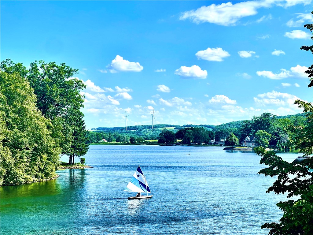 10282 County Route Wayland, NY 14572 - Photo 28 of 29 FANTASTIC LOON LAKE!
