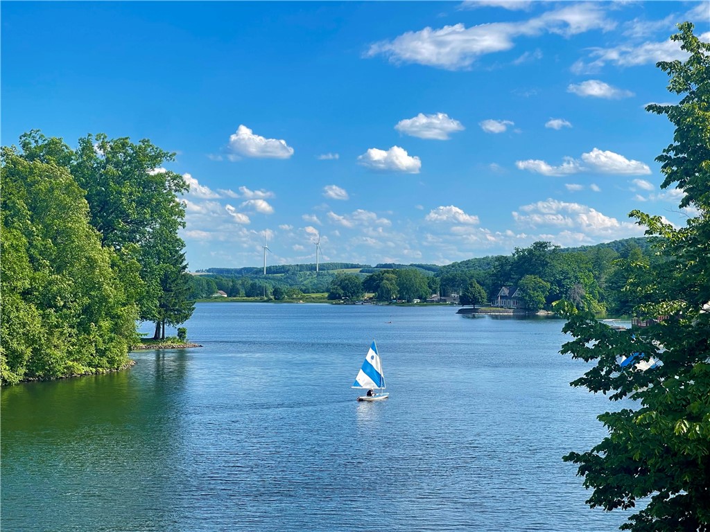 10282 County Route Wayland, NY 14572 - Photo 29 of 29 FANTASTIC LOON LAKE!