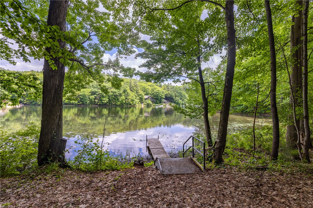 10282 County Route Wayland, NY 14572 - Photo 3 of 29 SPECTACULAR 100' LAKE LEVEL WATERFRONT LOT!