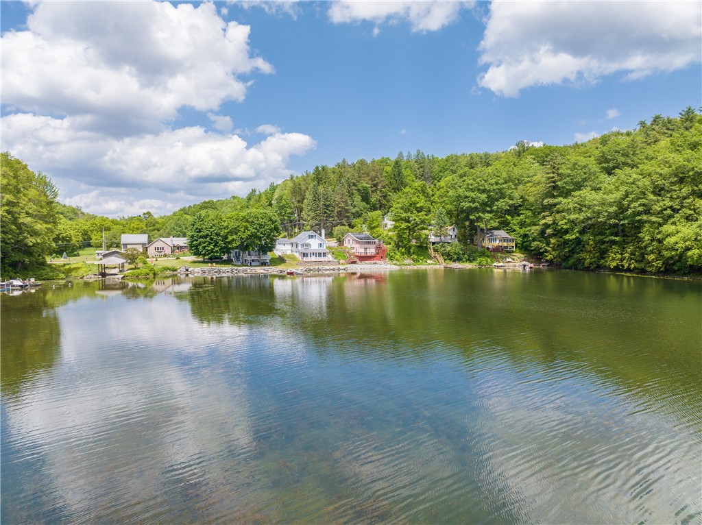 10282 County Route Wayland, NY 14572 - Photo 4 of 29 VIEWS TO THE NORTH