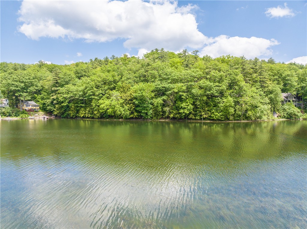 10282 County Route Wayland, NY 14572 - Photo 5 of 29 VIEWS TO THE EAST