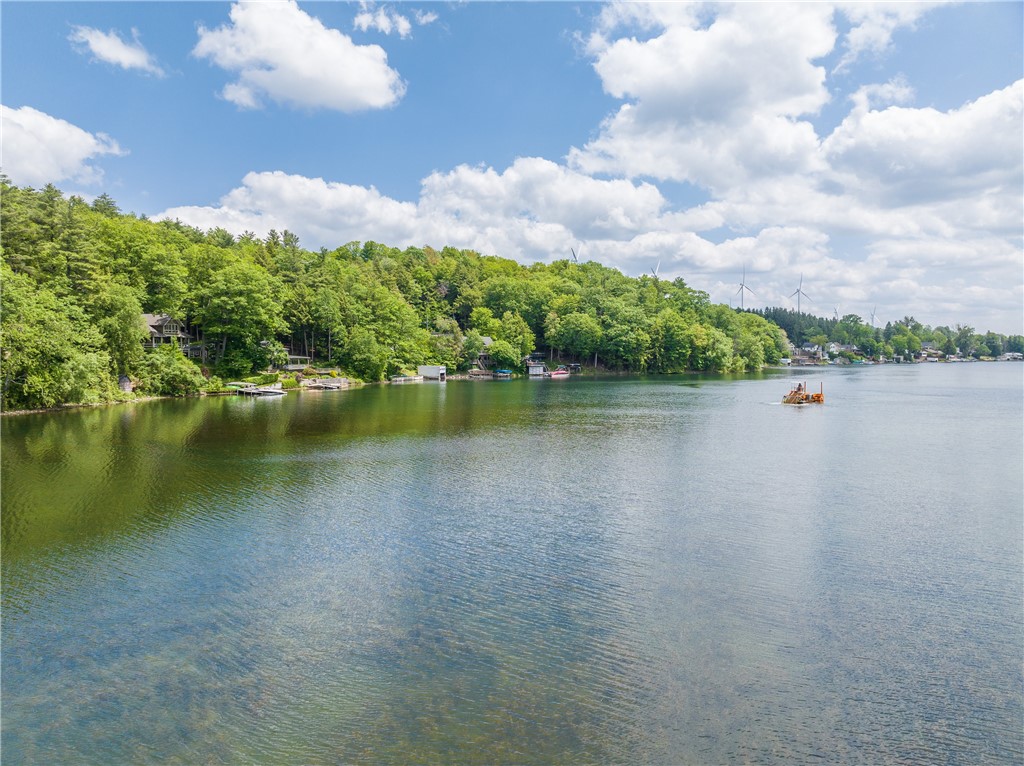 10282 County Route Wayland, NY 14572 - Photo 6 of 29 VIEWS TO THE SOUTH