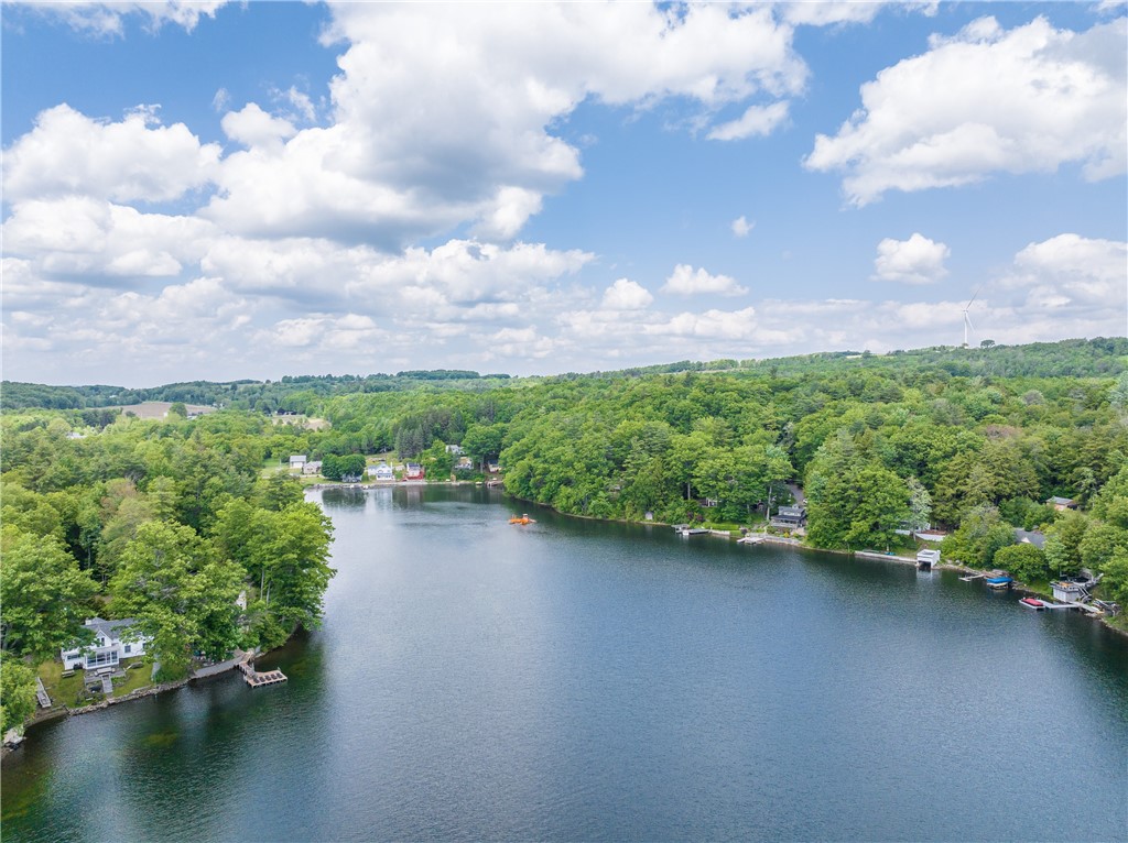 10282 County Route Wayland, NY 14572 - Photo 8 of 29 SPECTACULAR LOON LAKE!