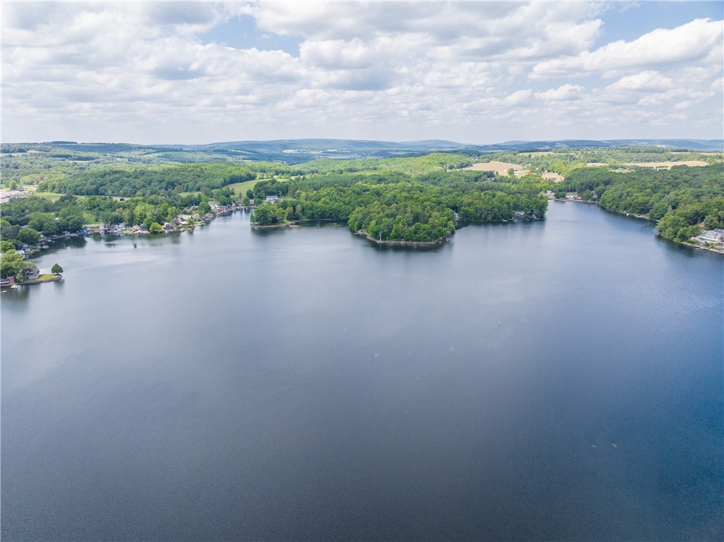 10282 County Route Wayland, NY 14572 - Photo 10 of 29 SPECTACULAR LOON LAKE!