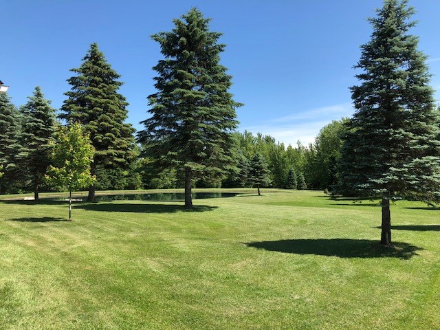 16450 30 Mile Road Ray, MI 48096 - Photo 15 of 67 Backyard