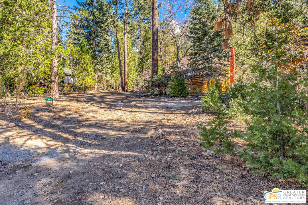 25250 Rim Rock Road Idyllwild, CA 92549 - Photo 12 of 72 a view of a yard with plants and trees