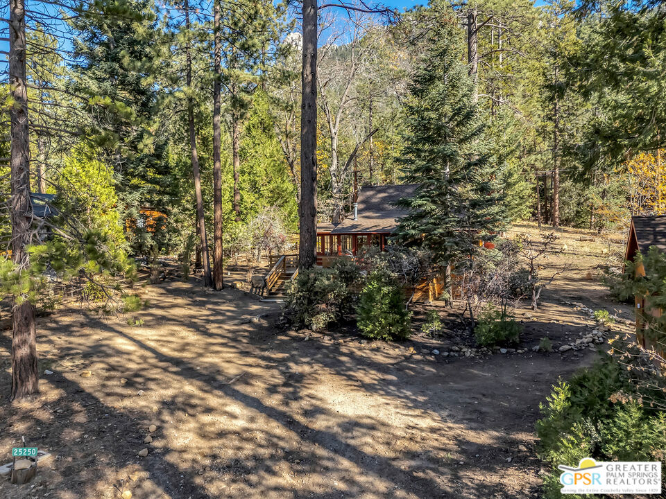 25250 Rim Rock Road Idyllwild, CA 92549 - Photo 5 of 72 a view of a yard with plants and trees