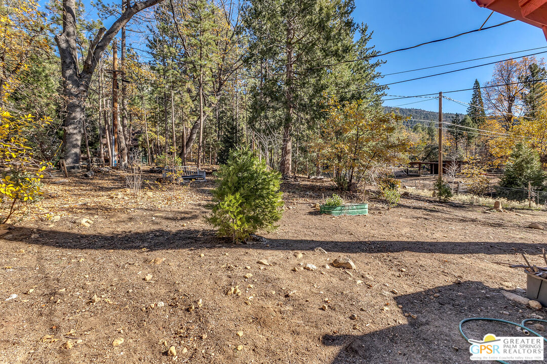 25250 Rim Rock Road Idyllwild, CA 92549 - Photo 53 of 72 a view of a yard with large trees
