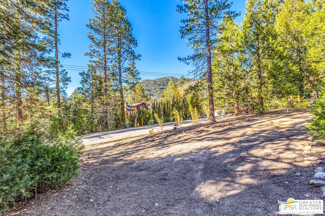 25250 Rim Rock Road Idyllwild, CA 92549 - Photo 68 of 72
