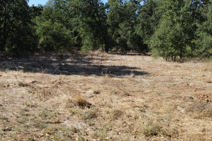 6230 Westside Road Redding, CA 96001 - Photo 2 of 6 WS2