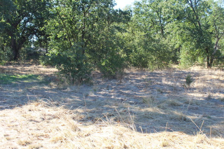 6230 Westside Road Redding, CA 96001 - Photo 4 of 6 ws4