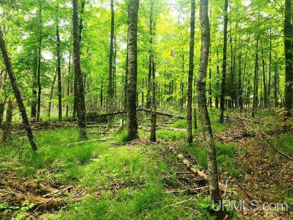 Lot 5 Wilderness Way Road Crystal Falls, MI 49920 - Photo 10 of 25