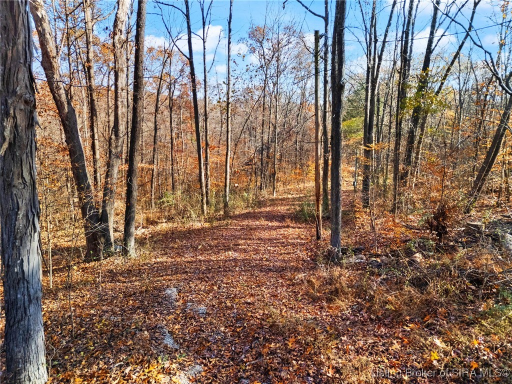 Mt Sterling Road English, IN 47118 - Photo 4 of 26