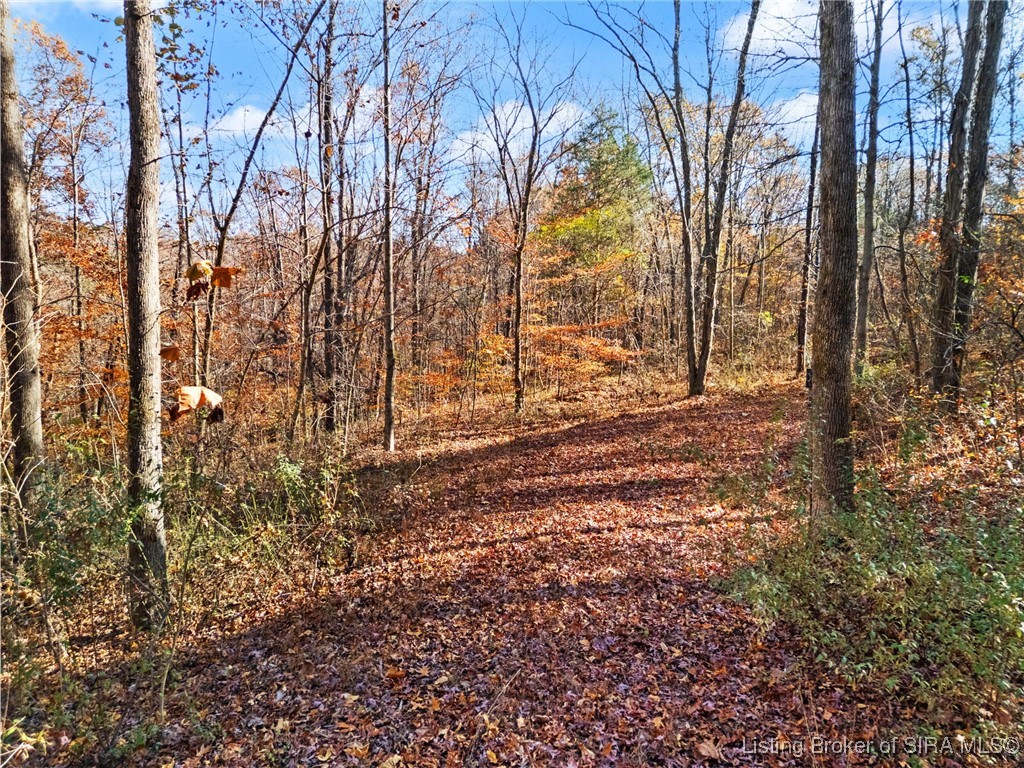 Mt Sterling Road English, IN 47118 - Photo 5 of 26