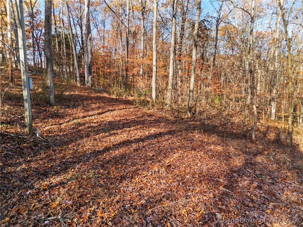 Mt Sterling Road English, IN 47118 - Photo 6 of 26