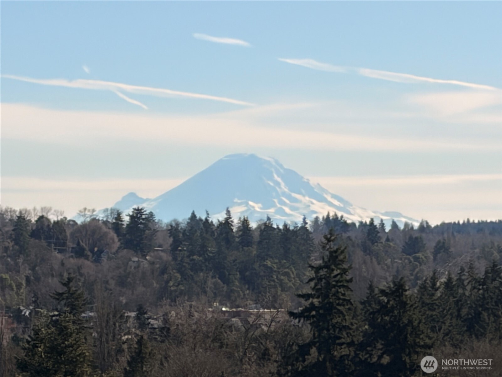 3221 Southwest Avalon Way, Unit 201 Seattle, WA 98126 - Photo 38 of 39 a view of a city with a mountain