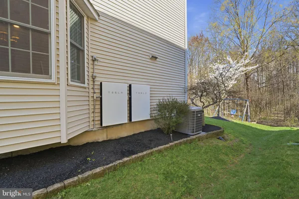 a view of a backyard with plants and large trees