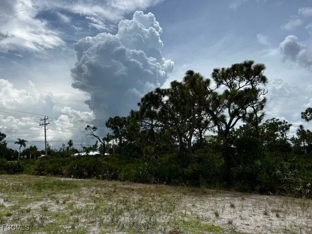 a view of a lake with a yard in the background