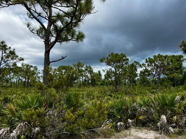 a view of a lake with a big yard and palm trees