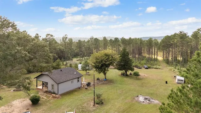 a small pool covered with green space