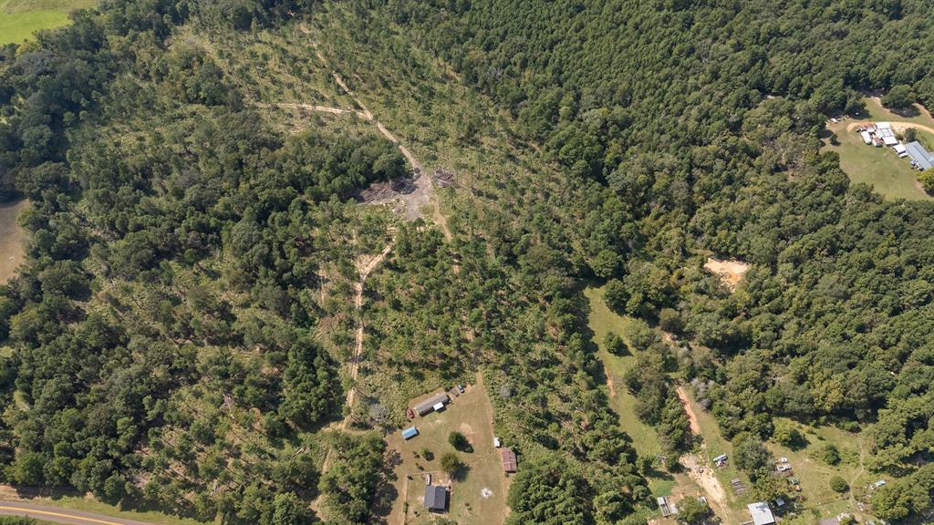 6446 Farm To Market Road 752 Rusk, TX 75785 - Photo 27 of 40 a view of a forest with a houses
