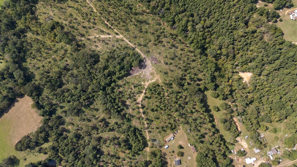 6446 Farm To Market Road 752 Rusk, TX 75785 - Photo 28 of 40 a view of a yard with a tree